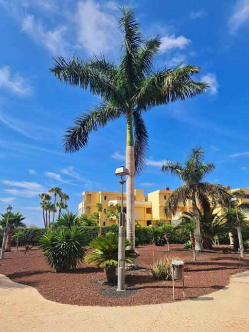 Homely Apt In Modern Building With Pool San Miguel de Abona Exterior foto
